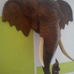 asiatischer Elefantenkopf